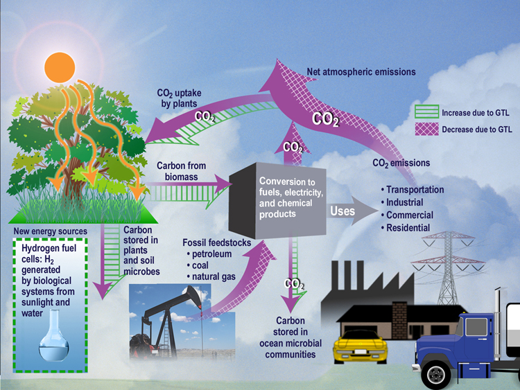 An ecological analysis of CO 2 in an ecosystem. As systems biology, systems ecology seeks a holistic view of the interactions and transactions within and between biological and ecological systems.